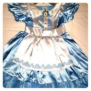Disney Alice Costume